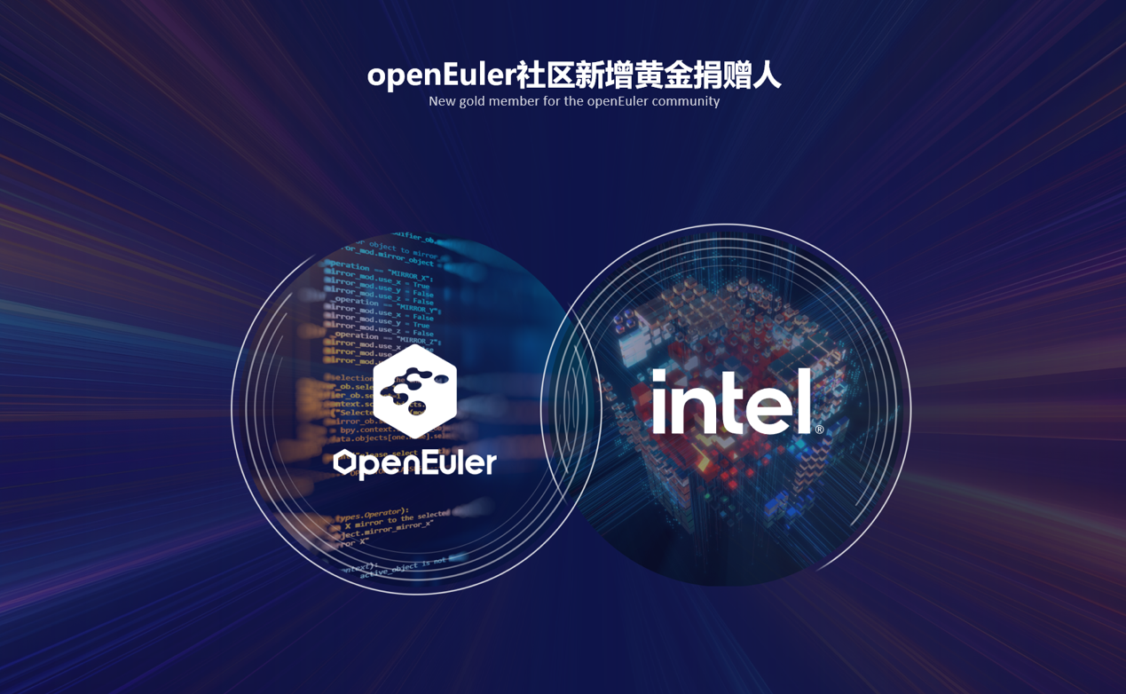 社区共建，联合社区成员与开发者为openEuler注入创新力量